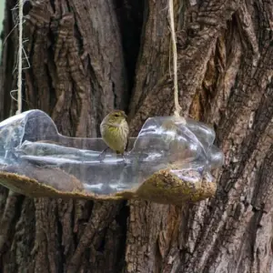 handgemachte futterstelle für wildvögel aus kunststoffflasche an baumast im garten hängen