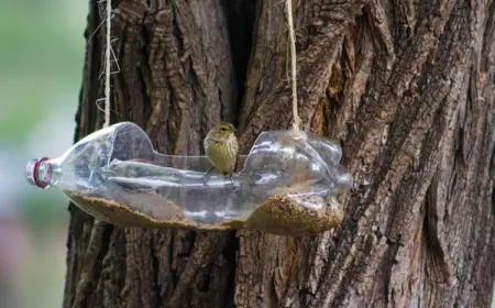 handgemachte futterstelle für wildvögel aus kunststoffflasche an baumast im garten hängen