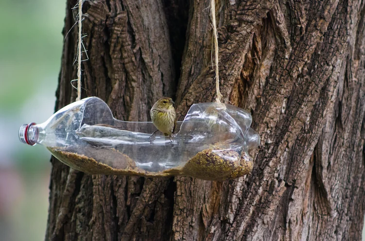 handgemachte futterstelle für wildvögel aus kunststoffflasche an baumast im garten hängen
