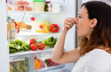 kühlschrank stinkt wie sie den unangenehmen geruch blitzschnell neutralisieren können