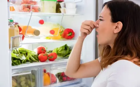 kühlschrank stinkt wie sie den unangenehmen geruch blitzschnell neutralisieren können