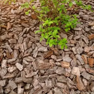 mulch selber machen mit holzspänen