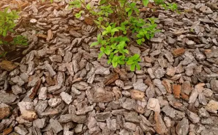 mulch selber machen mit holzspänen