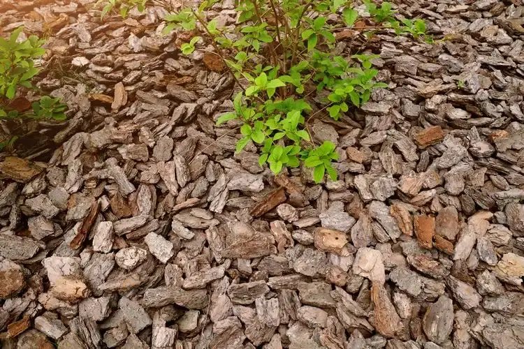 mulch selber machen mit holzspänen