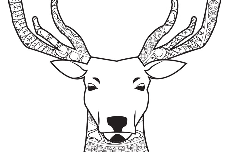 Entspannen und Kreativ Werden: Ausmalbilder Weihnachten für Erwachsene zum Ausdrucken – Kostenlos & Wunderschön!