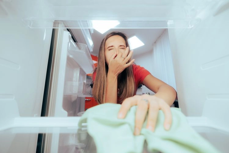 schlechten geruch im kühlschrank beseitigen die reinigung mit hausmitteln