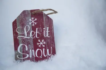 weihnachtsdeko aus holz für draußen let it snow zeichen