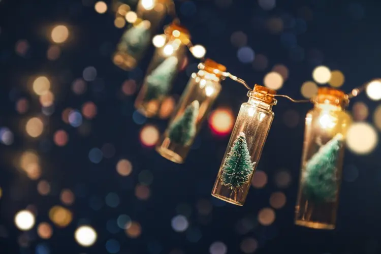 weihnachtsdeko im glas basteln reagenzgläser mit tannenbäumen und lichterkette