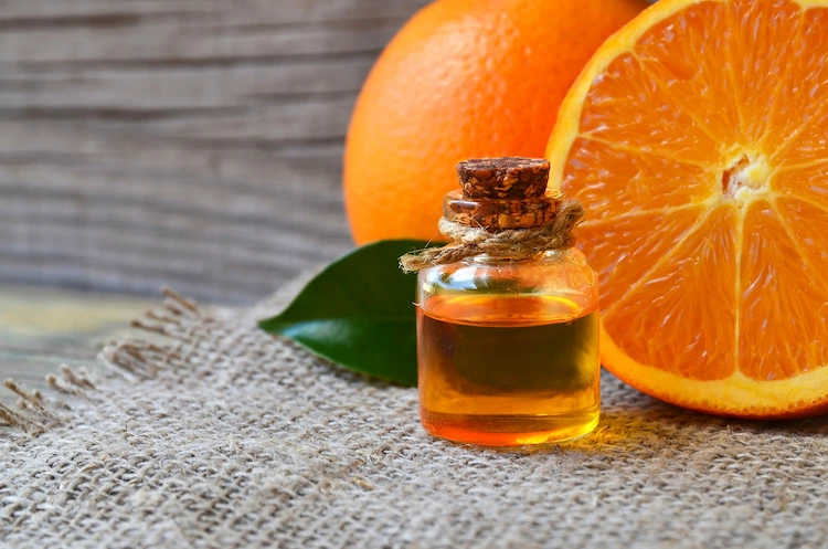 Ätherisches orangenöl ein favorit in weihnachtsdüften