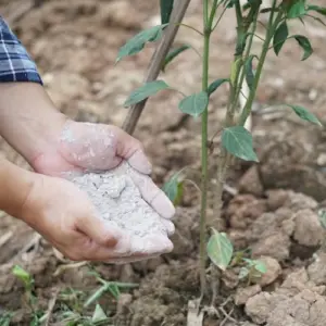 als nachhaltiges und nährstoffreiches düngemittel holzasche im garten verwenden