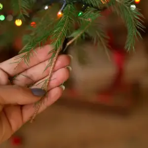 christbaum nadelt, was tun tipps zur pflege der tanne