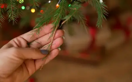 christbaum nadelt, was tun tipps zur pflege der tanne