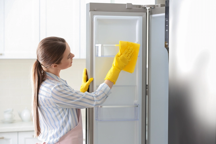 kühlschrank gründlich reinigen, um schlechte gerüche zu entfernen