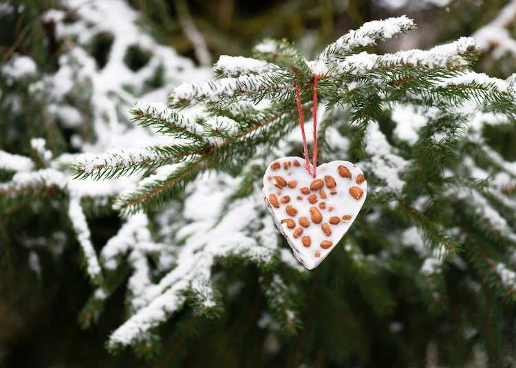 tierfreundliche weihnachtsdeko mit vogelfutter in plätzchenformen am tannenbaum gebunden