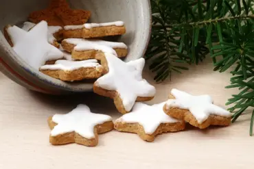 weihnachtsplätzchen rezepte 2023 vegane zimtsterne ohne zucker