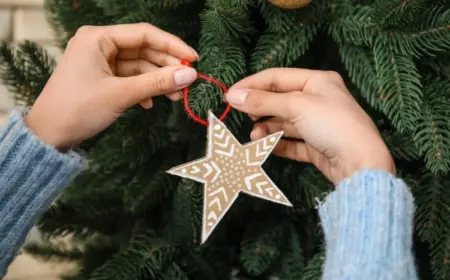 weihnachtsstern aus pappe im skandinavischen stil selber machen