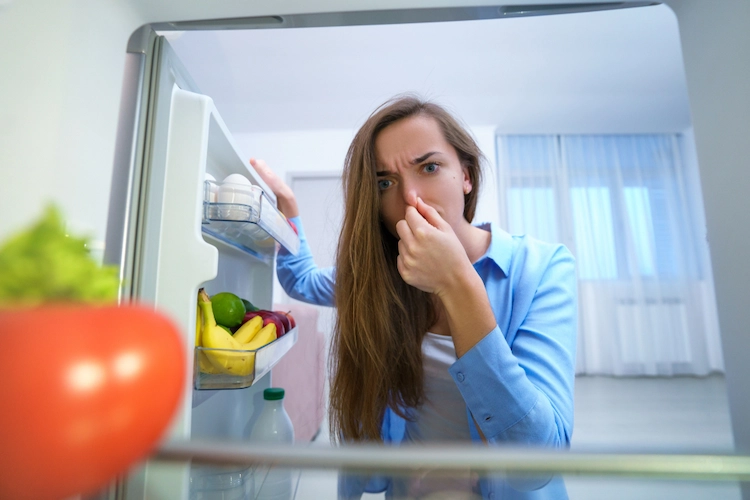wie kann man gerüche im kühlschrank entfernen