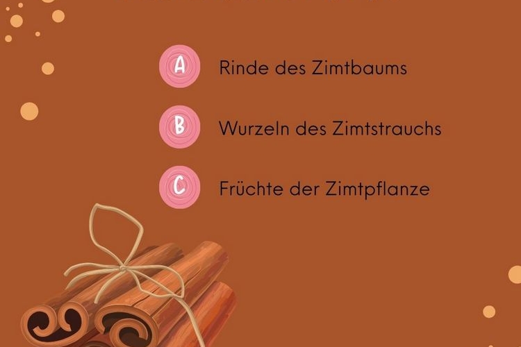 24 Weihnachtsrätsel Zum Ausdrucken Für Ein Spaßiges Quiz