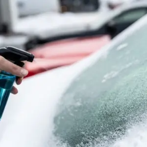 enteiser spray selber machen für den winter