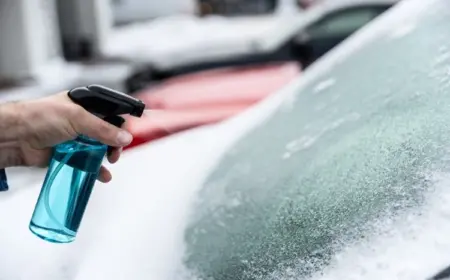 enteiser spray selber machen für den winter