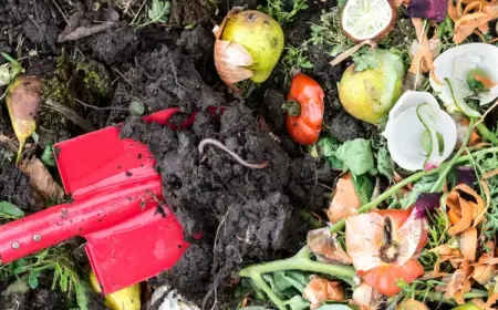 für kompostwürmer geeignete organische abfälle und essensreste dem komposthaufen hinzufügen