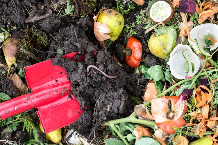 für kompostwürmer geeignete organische abfälle und essensreste dem komposthaufen hinzufügen