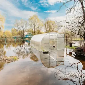 garten steht unter wasser, was tun