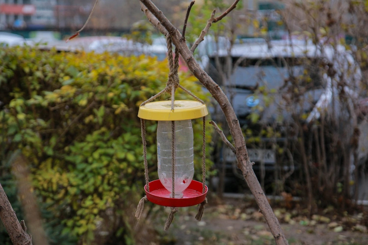 günstiges futtersilo für vögel selber bauen mit untersetzer und plastikbehälter