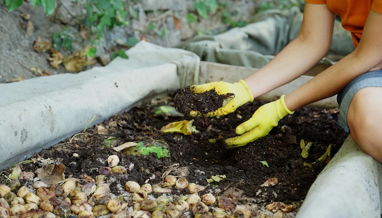 im gartenbereich umweltfreundlich und nachhaltig mit würmern und bioabfällen in gruben kompostieren