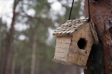 mit einer sitzstange und flugloch ausgestattetes vogelhäuschen aus kork an einen baum hängen