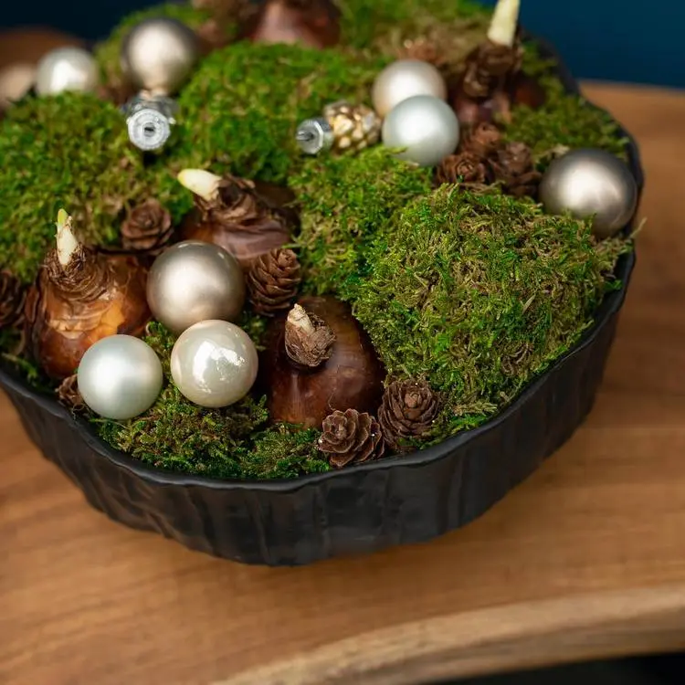 schönes arrangement in einer pflanzschale mit blumen für den frühling und weihnachtskugeln