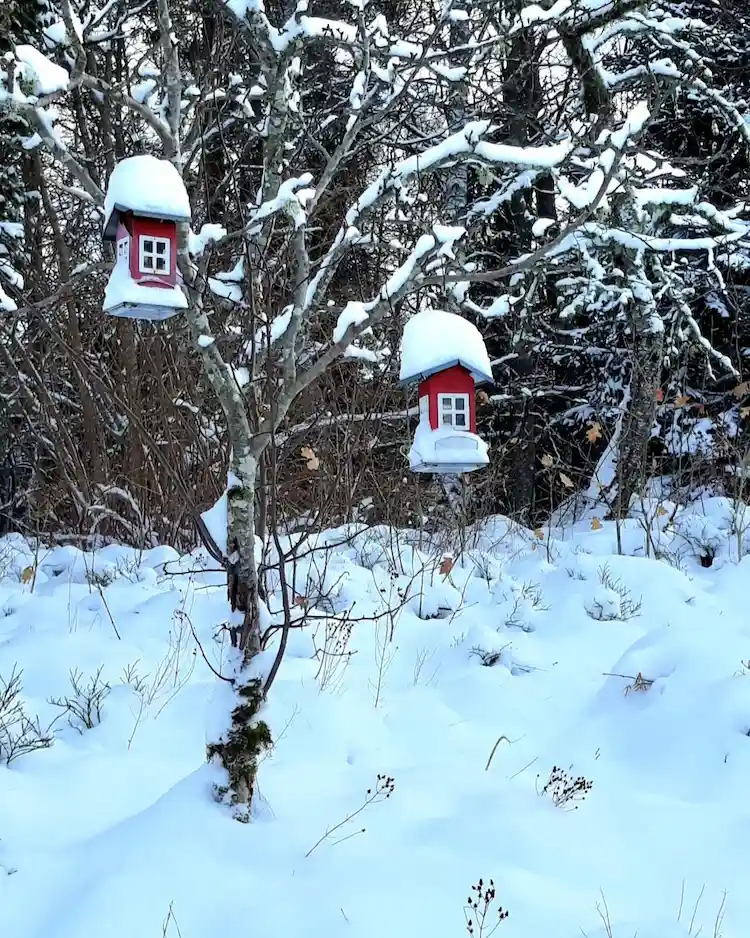 vogelhäuser aufhängen und den garten im winter dekorieren