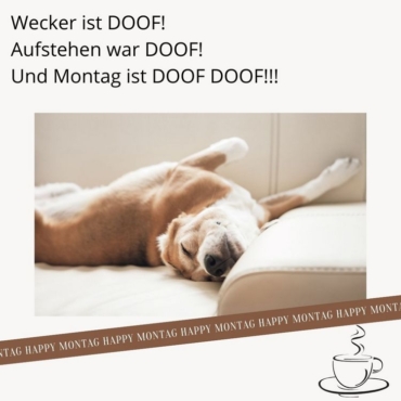 wecker ist doof, aufstehen ist doof, montag ist doppelt doof