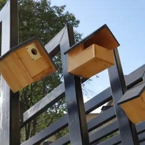 wie diverse wildvögel anlocken und welcher nistkasten für welchen vogel passen würde