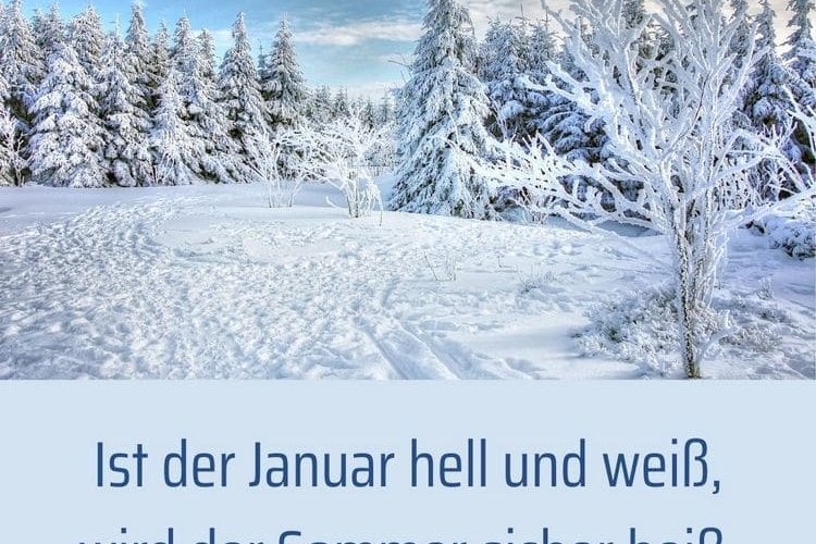 Bauernregeln zum Wetter: Das erwartet uns laut Weisheiten