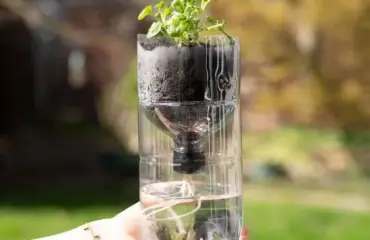 anzucht in pet flaschen behälter für pflanzen selber machen