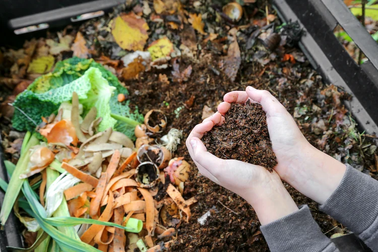 kompostierung ist der schlüssel zum gesunden wachstum der pflanzen