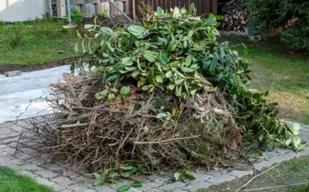 laub und grünschnitt im garten verwerten praktische tipps für die gartenarbeit