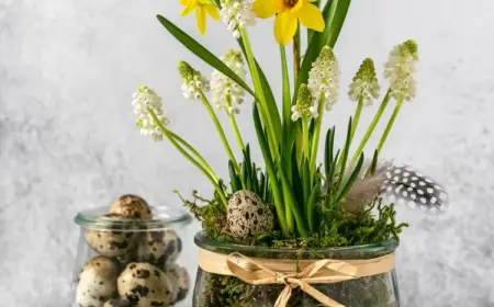 natürliche dekoration basteln mit moos im frühling frühlingsblumen im glas mit wachteleiern