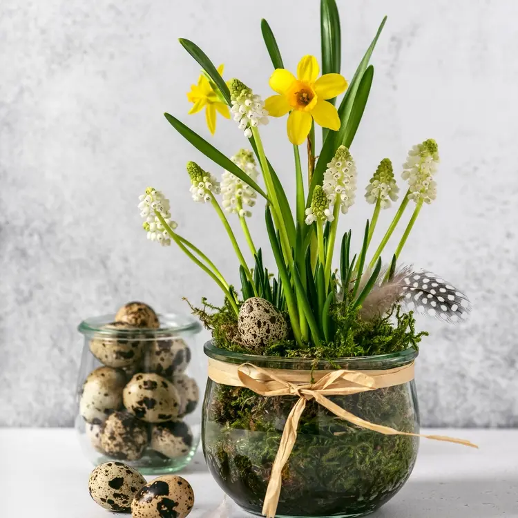 natürliche dekoration basteln mit moos im frühling frühlingsblumen im glas mit wachteleiern