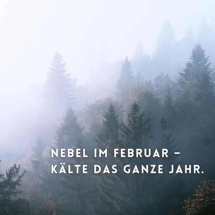 nebel im februar, kälte das ganze jahr