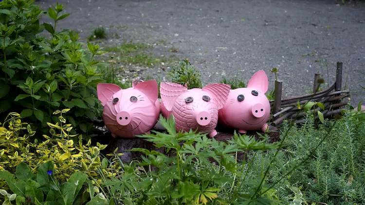niedliche schweinchen aus pet flaschen selber machen