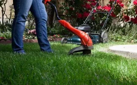 wann das erste mal mähen im frühling