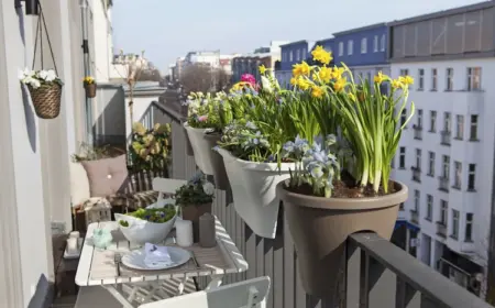 welche frühlingsblumen für den balkon im februar pflanzen