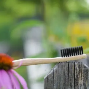 wie kann man die alte zahnbürste im garten verwenden