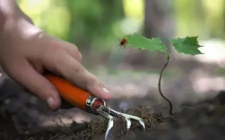 zeckenbissen vorbeugen durch schützende kleidung bei der gartenarbeit