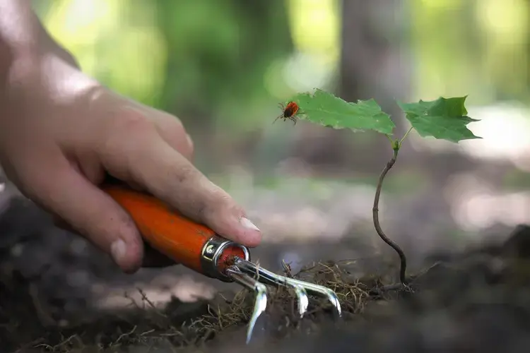 zeckenbissen vorbeugen durch schützende kleidung bei der gartenarbeit