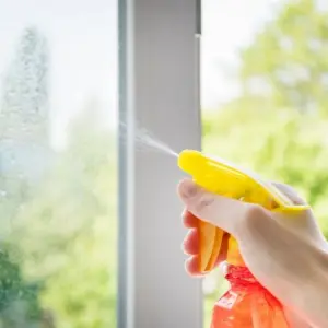 fenster im frühling putzen