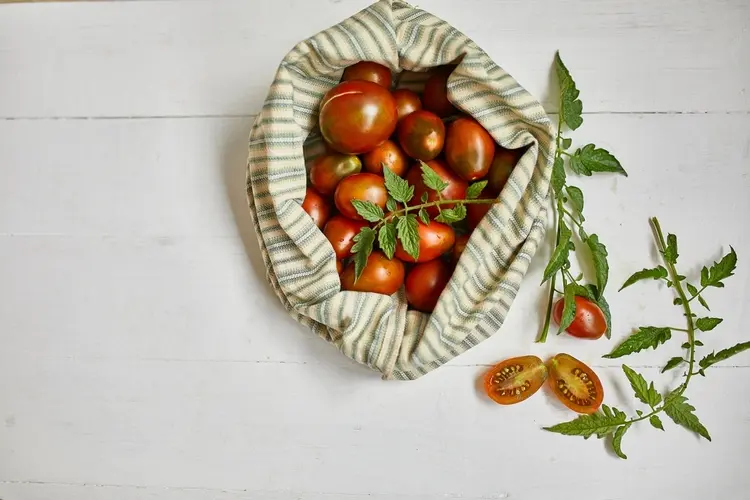 praktischer tomatenanbau im sack für kleine gärten und terrassen