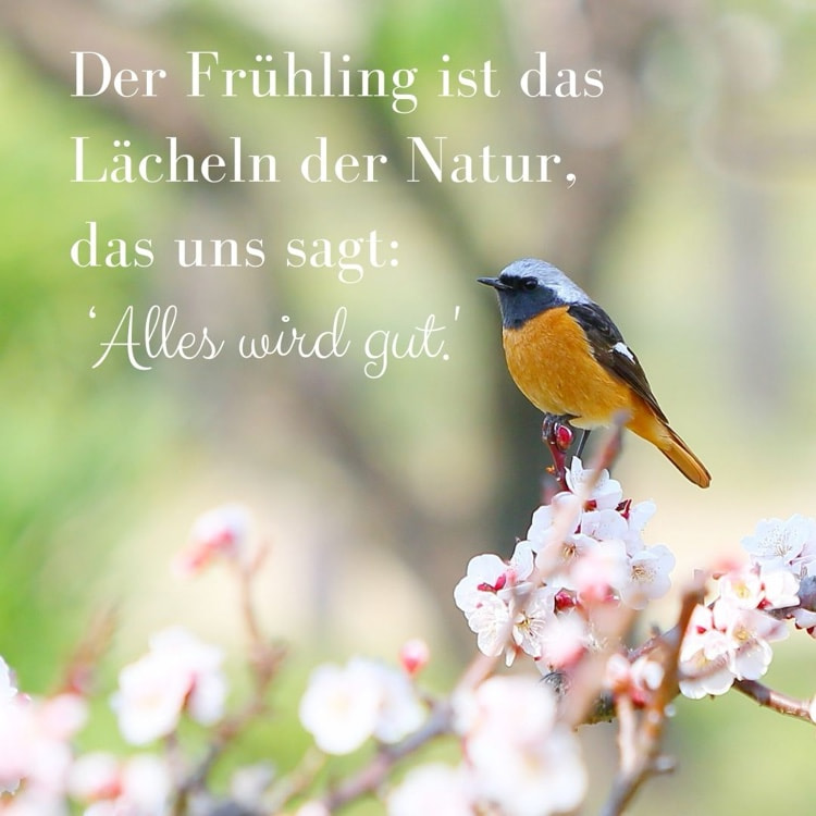 sprüche über frühling und natur